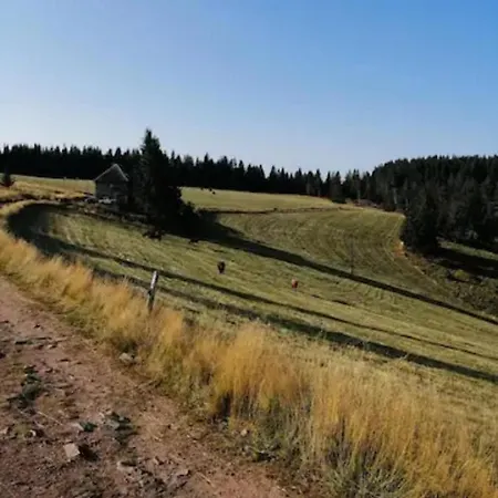 Les Locations De Stephanie Les Hautes Vosges *
