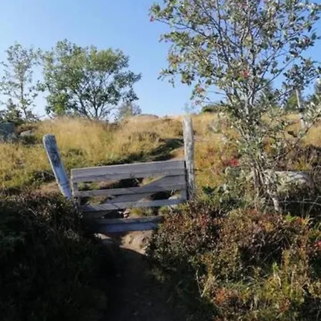 Les Locations De Stephanie Les Hautes Vosges Apartament Sondernach