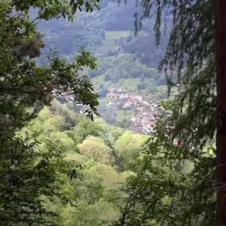 Les Locations De Stephanie Les Hautes Vosges