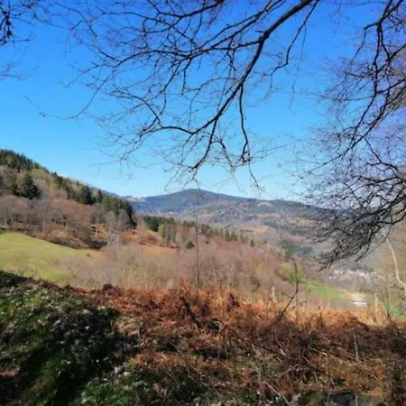 Apartament Les Locations De Stephanie Les Hautes Vosges