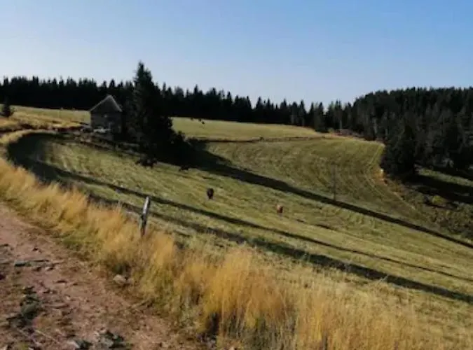 Les Locations De Stephanie Les Hautes Vosges *