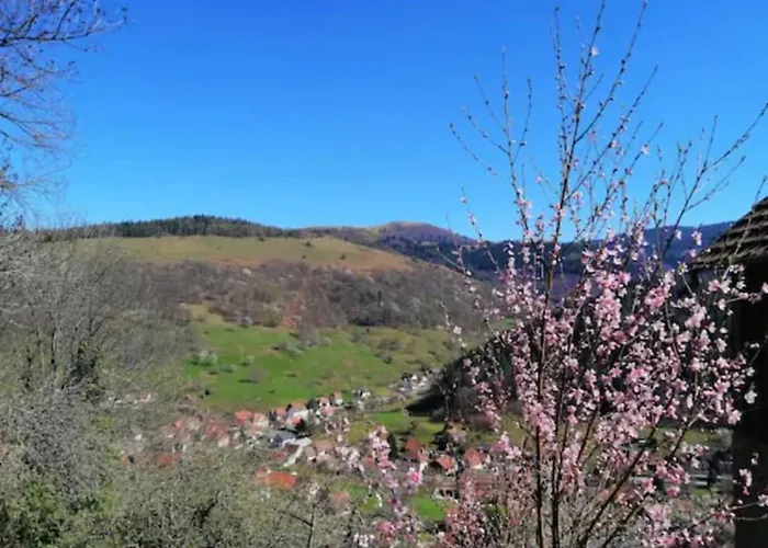 Les Locations De Stephanie Les Hautes Vosges *