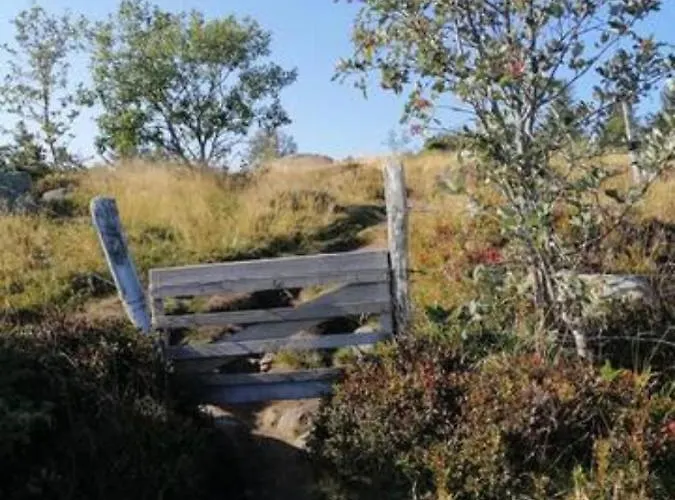 Les Locations De Stephanie Les Hautes Vosges Lägenhet Sondernach