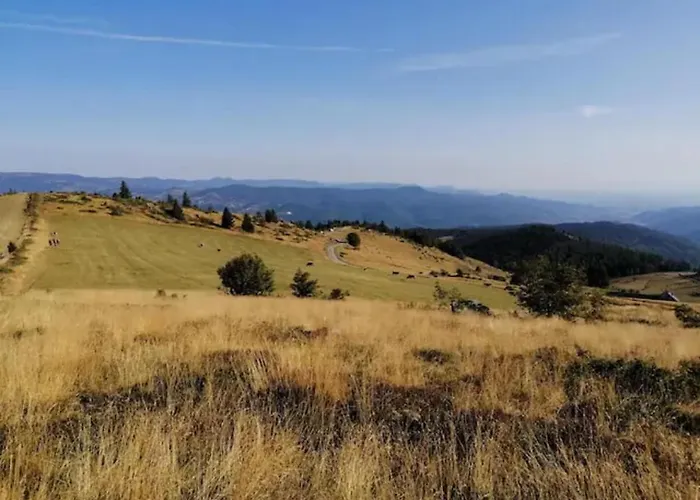 Les Locations De Stephanie Les Hautes Vosges