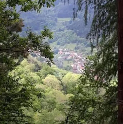 Les Locations De Stephanie Les Hautes Vosges