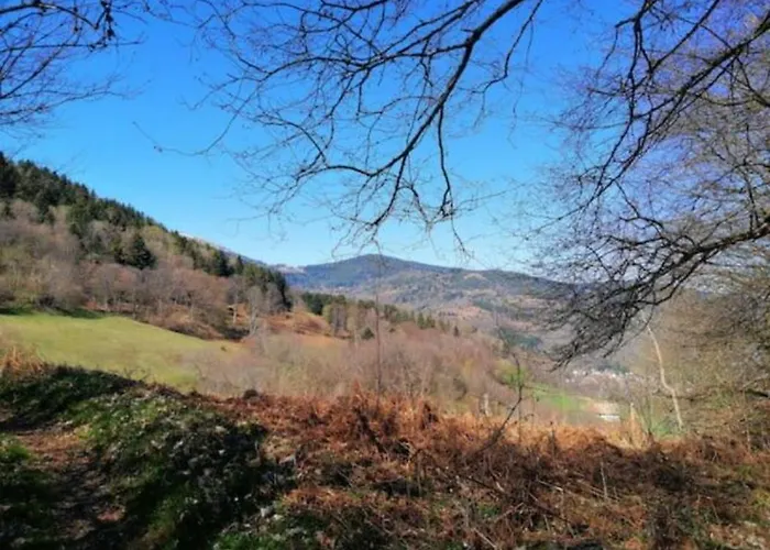 Lägenhet Les Locations De Stephanie Les Hautes Vosges